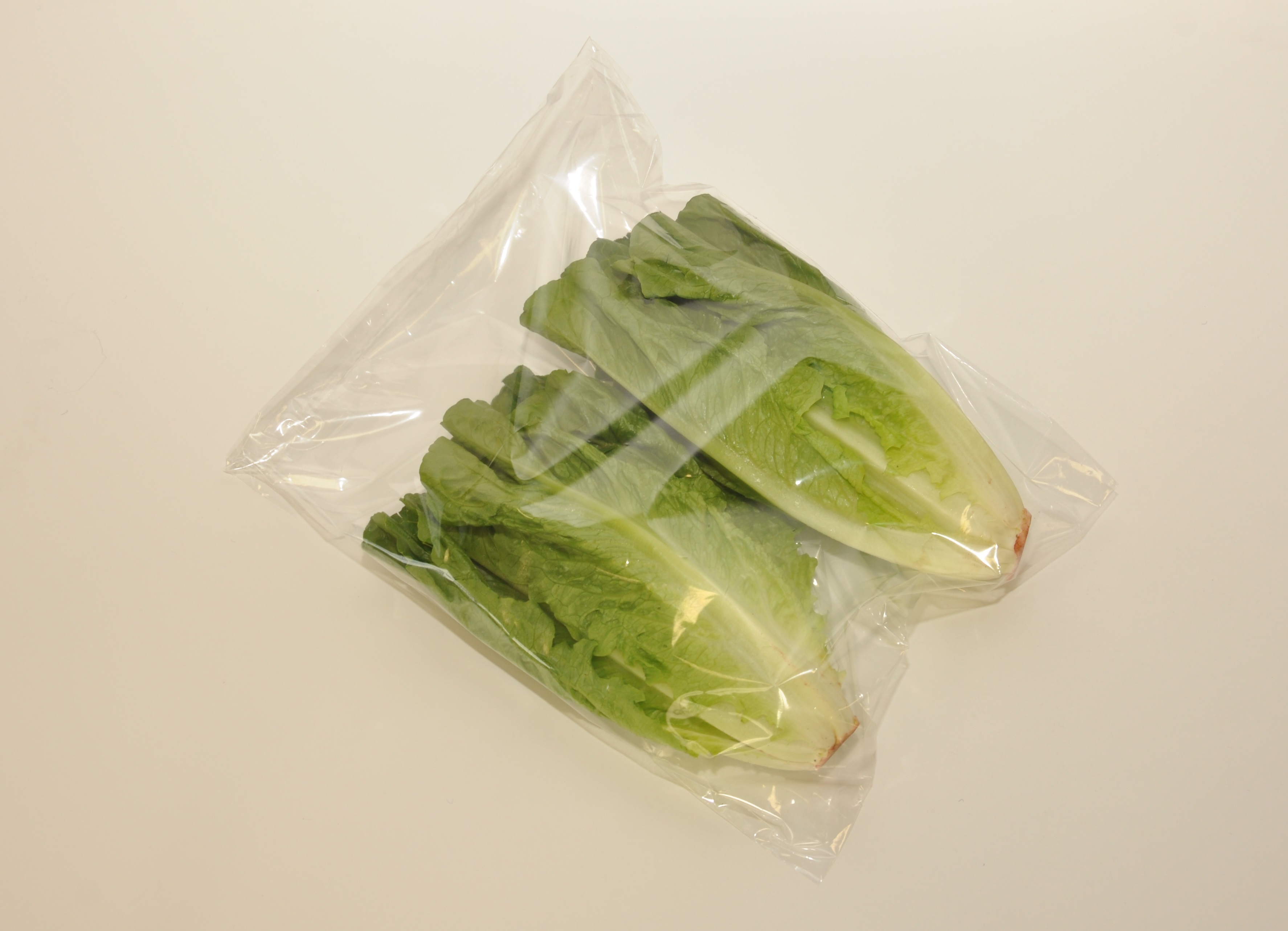 romaine lettuce or romaine hearts romaine lettuce or romaine hearts