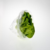 Wicketted Standard Lettuce Bag