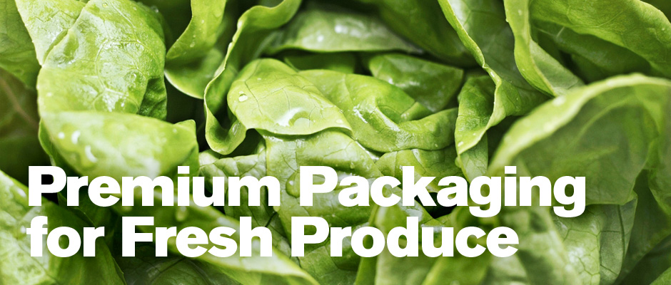 Premium Packaging for Fresh Lettuce